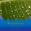 zZz Deliberative Encouraging Rain Sounds zZz cover
