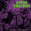 Rigor Tortoise — I Have Become Something Else cover art