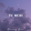 Tu Meri cover