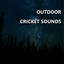 Precious Outdoor Cricket Recording cover
