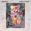 Steve Gunn - Nearly There (sonic Boom Remix)
