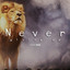 Never Giving Up