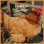 Unknown Title cover