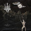 Palace of Ash cover