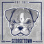 Georgetown cover