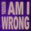 Am I Wrong - Electro Remix Radio Edit