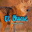 Chacal - Duro Al Bate (2024) Ritmo