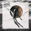 Dream Machine - 2019