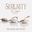 Serenity Scape: Relaxing Spa Music with the Ambient Sounds of Nature for a Peaceful Meditative Experience cover