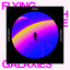Flying Through These Galaxies