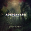 Aokigahara (Sea of Trees)