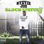Block Statue 3 cover