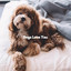 Dogs Love You cover