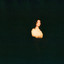 Wafia - GO