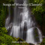 Josh David - WED 80526