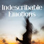 Indescribable Emotions cover
