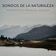 Sonidos De La Naturaleza: Reconfortantes Sonidos De Corrientes cover