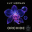 Orchide