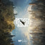 Gravity Strikes Again - Matthew Parker & Sam Bowman