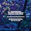 Starwatcher cover