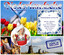 Nederlandse terreur