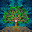 Seaborn cover