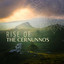 Rise of the Cernunnos: Epic Celtic Fantasy Music for Studying, Reading and Gaming cover