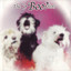 The 3boo?Dists cover