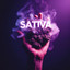 Sativa