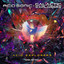 Acid Explorers