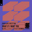 What If I Want You - Extended Mix