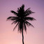This is Coast FM Canary Islands Now Playing: Dancing Without You - Nile Rodgers, Disco Bambino, Sophie Ellis Bexter