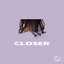 Closer cover