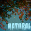 HERBALECENSE - NATURAL