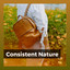 Consistent Nature cover