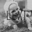 Unknown Title cover