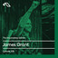 The Anjunadeep Edition 308 cover
