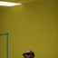 Blackrooms (Never Thunk)