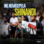 Ine Nemisepela Shinandi cover