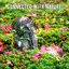 Connected with Nature - Create an Outdoor Meditation Space with Instrumental Melodies with Beautiful Nature cover