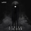 Visions - Tematic Remix