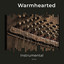 zZz Warmhearted Instrumental Solos zZz cover