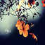Fall cover