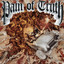 Pain of Truth - Fed By Fear