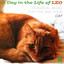 Day In The Life Of Leo (A) - Classical Music for You and Your Cat cover