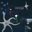 Cosmopaark, Tapeworms - Shooting Star