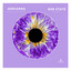 Wild Electric - 808 State Remix
