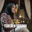 Terlalu Sayang (Tarling) cover