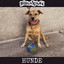 Bildunxlücke - Hunde