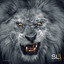 Slum Lords 2 cover